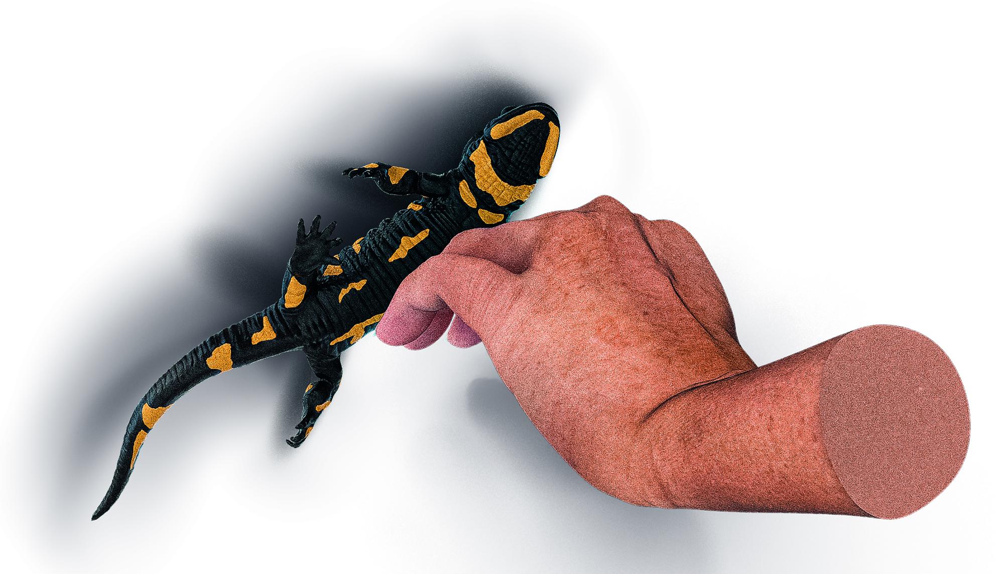 Carreteras secundarias